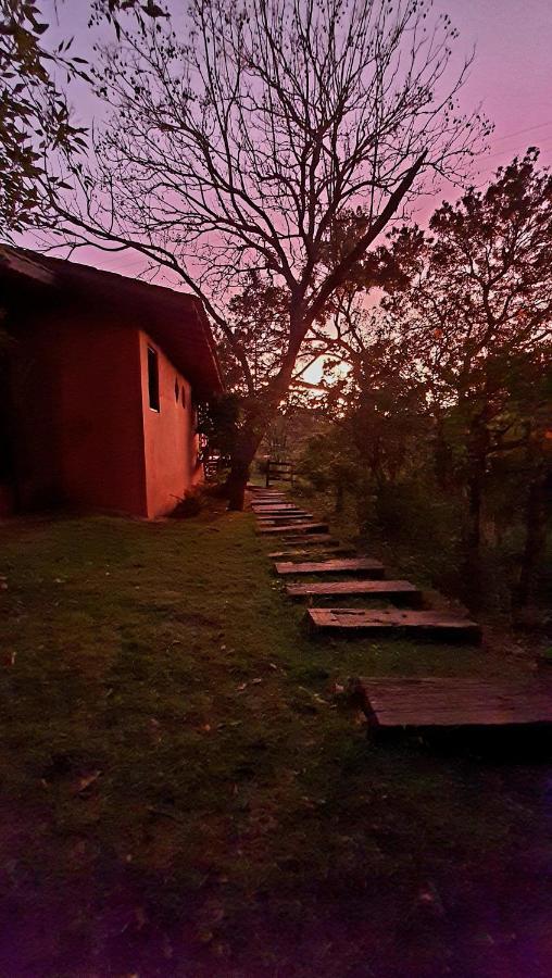 피냐우지뉴 Sitio Belucci B&B 외부 사진
